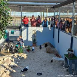 12-clt-girls-in-conservation-2024_original